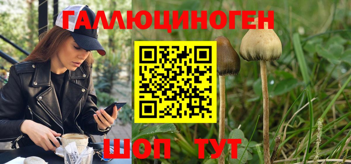 Галлюциногенные грибы Magic Shrooms  Вход с VPN  Кирово-Чепецк 