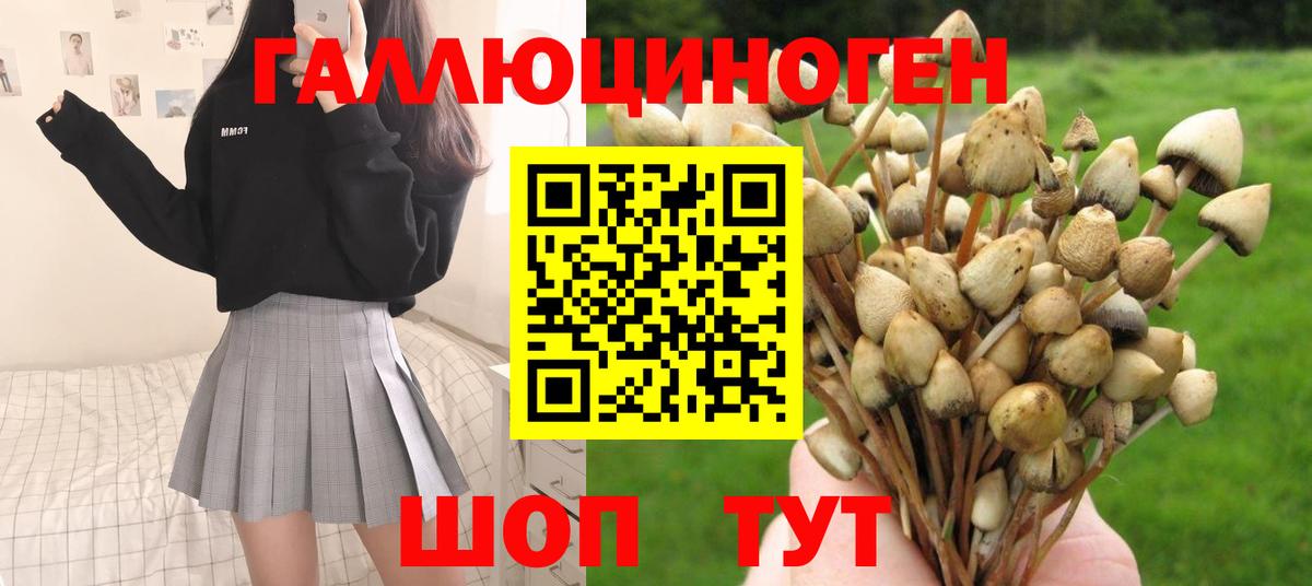 Псилоцибиновые грибы мухоморы Кирово-Чепецк