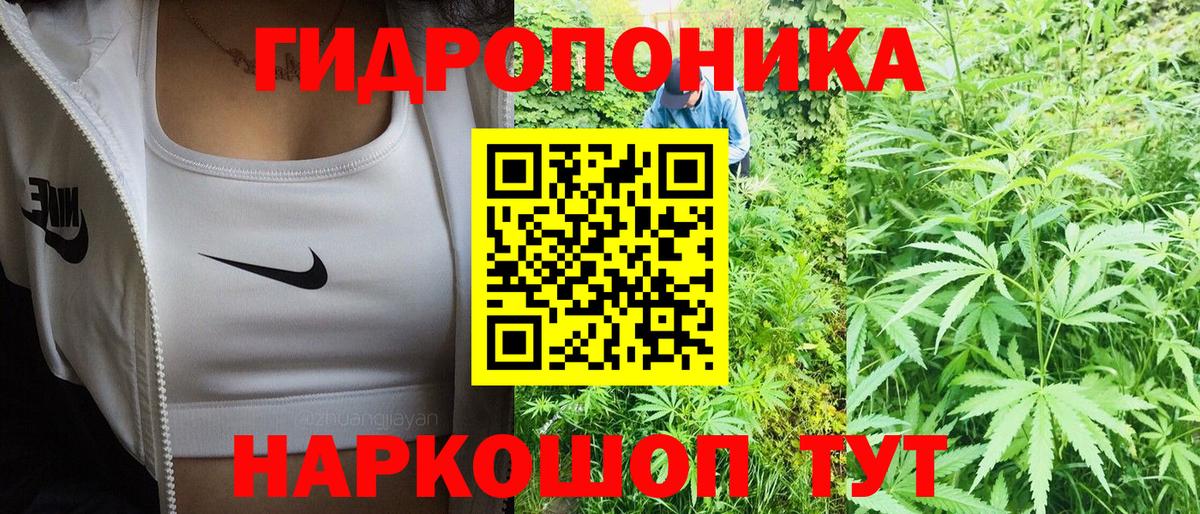 Alpha PVP Кирово-Чепецк